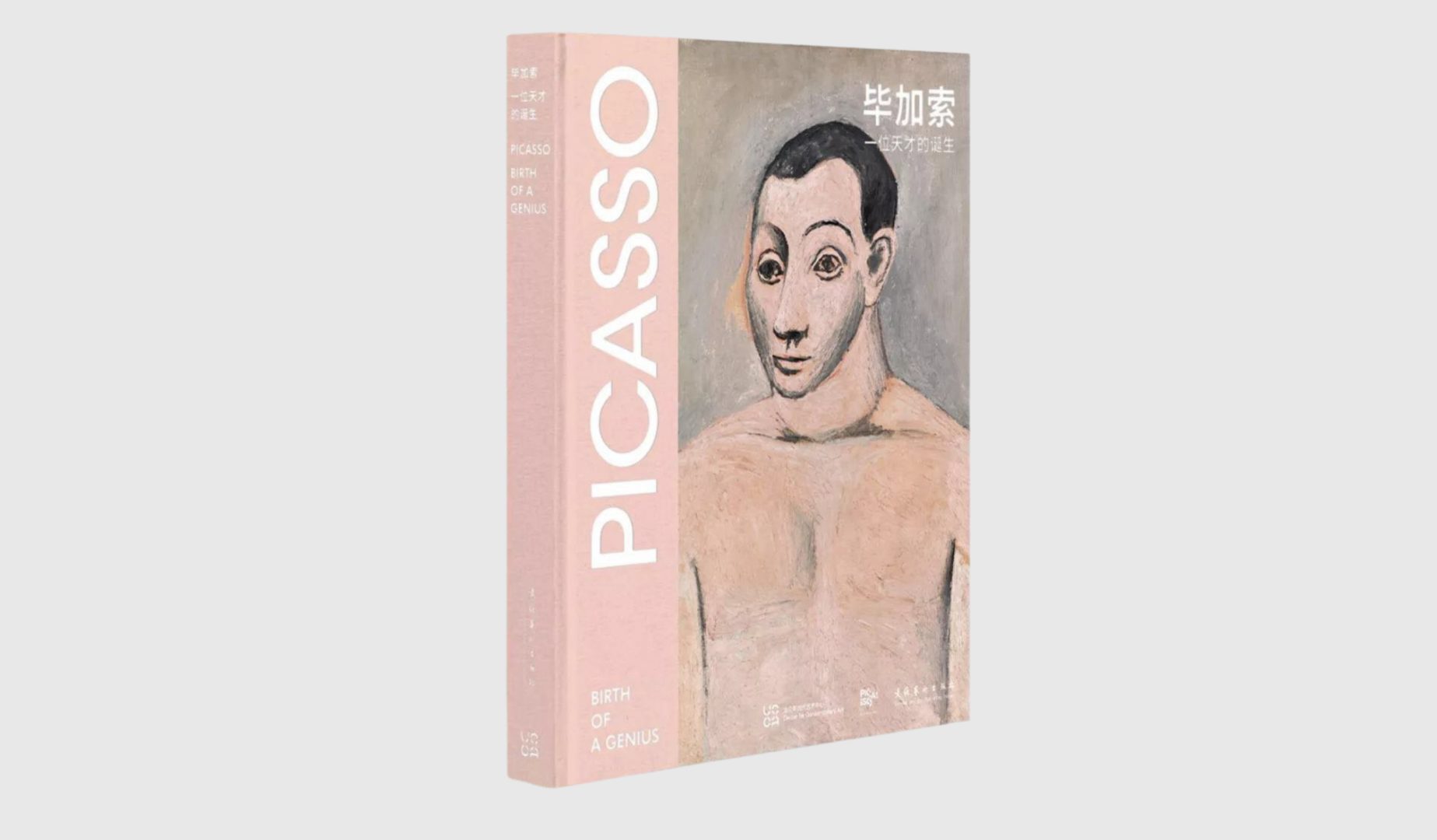 Picasso – Birth of a Genius